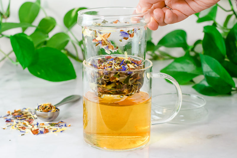 How to brew loose leaf tea | Tea education | Stash Tea