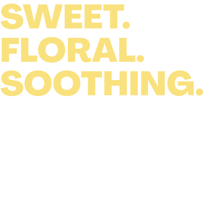 Chamomile