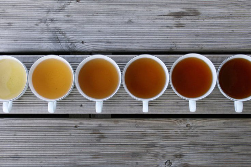 Tea Tasting Terms Glossary | Stash Tea