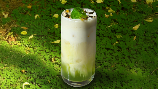 Stash Premium Green Tea Mint Iced Latte