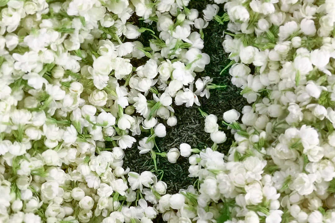 Jasmine-Sourcing-Story_Stash-Tea_1944x.jpg