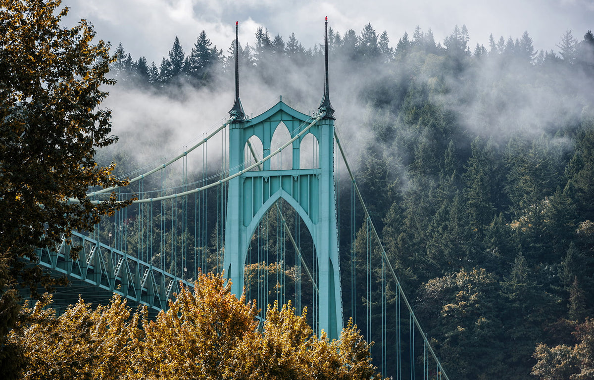 It all started in Portland