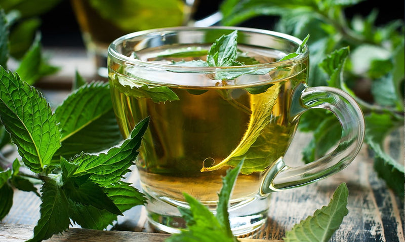 It all started in Portland