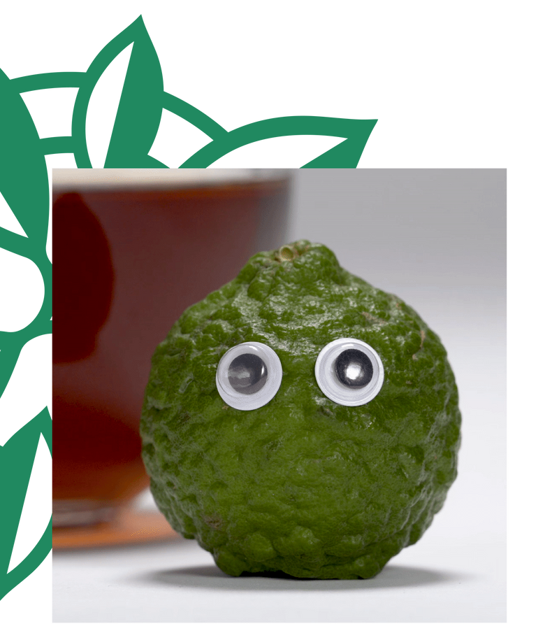 A Little Bag of Crazy - Stash Tea Company - To us, tea is an opportunity.  To excite the senses. To surprise your taste buds. With a diverse range of bold flavors and bright colors.
