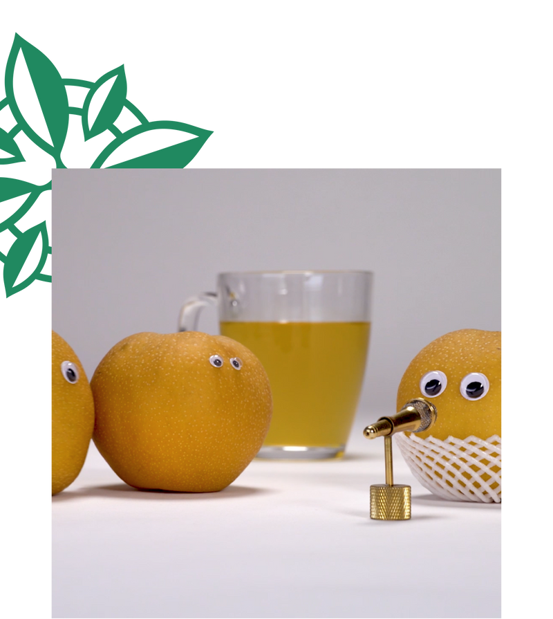 A Little Bag of Crazy - Stash Tea Company - We want to empower and nurture a better tomorrow,  where everyone has an equal opportunity to succeed. To become the rebels and rulers of their own lives.