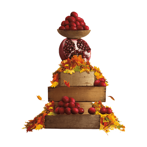 Cranberry Pomegranate.