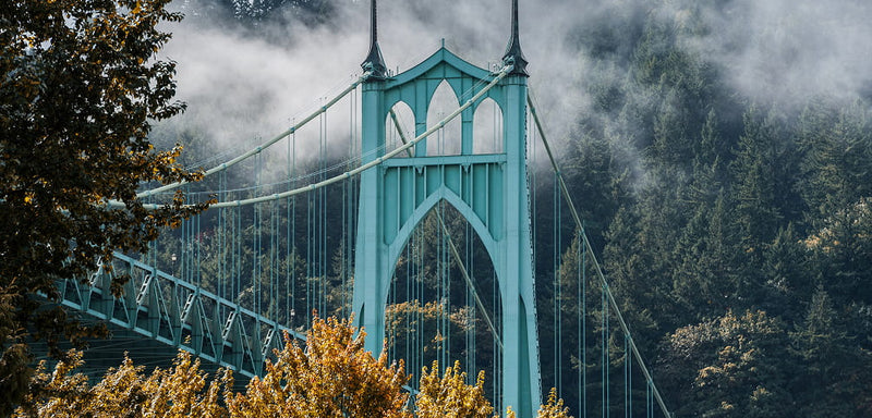 It all started in Portland