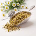 Organic Chamomile