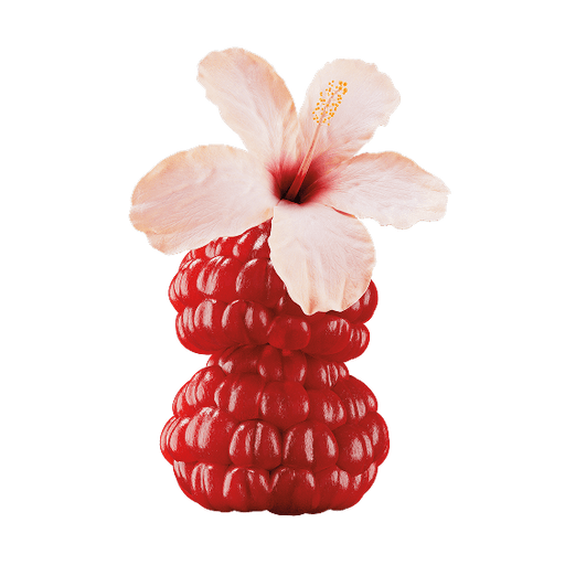 Raspberry Hibiscus.