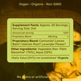 Moroccan Mint Mindfulness Green Tea TEST 2025