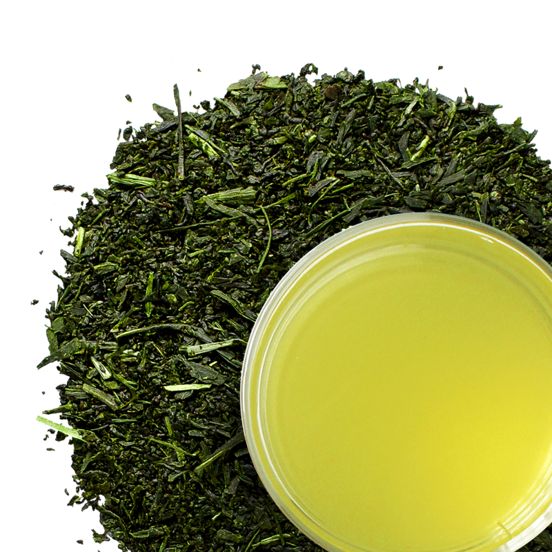 New Tea Available: 2020 Japanese-style Brazilian Shincha Green Tea | Stash Tea 