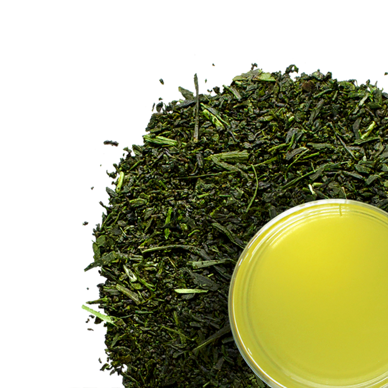 Brazilian Shincha Green Tea 2020 | Stash Tea