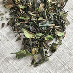 Fusion Green and White Tea