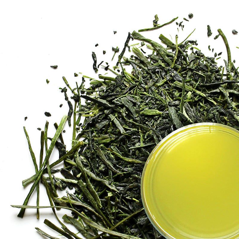 Japanese Shincha Green Tea 2020 | Stash Tea