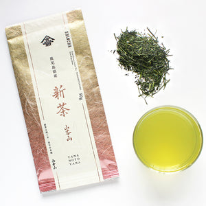 Japanese Shincha Green Tea 2020 | Stash Tea